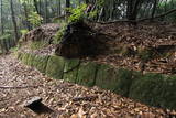 肥前 おつぼ山神籠石の写真
