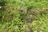 肥前 おつぼ山神籠石の写真