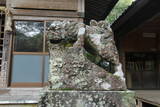 肥前 龍造寺長信館の写真