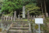肥前 龍造寺長信館の写真