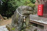 肥前 龍造寺長信館の写真