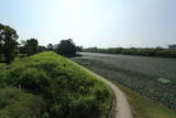 肥前 佐賀城の写真