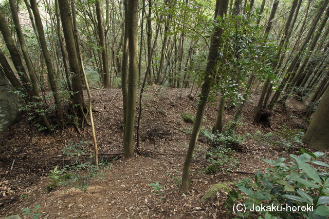 肥前 勢福寺城(東麓遺構群)の写真