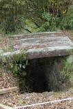 肥前 勢福寺城(東麓遺構群)の写真