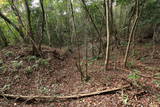 肥前 勢福寺城(東麓遺構群)の写真