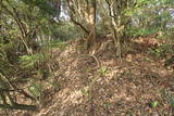 肥前 勢福寺城(南東尾根遺構群)の写真