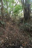 肥前 勢福寺城(南東尾根遺構群)の写真