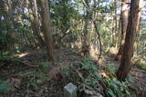 肥前 勢福寺城の写真