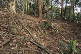 肥前 勢福寺城の写真