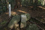 肥前 勢福寺城の写真