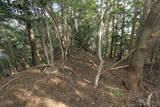 肥前 勢福寺城の写真