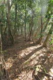 肥前 勢福寺城の写真