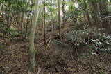 肥前 勢福寺城の写真