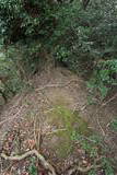 肥前 勢福寺城の写真