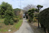 肥前 勢福寺城の写真