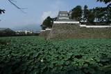 肥前 島原城の写真