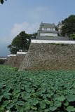 肥前 島原城の写真