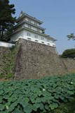 肥前 島原城の写真