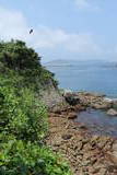 肥前 四郎ケ島台場の写真