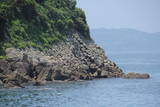 肥前 四郎ケ島台場の写真