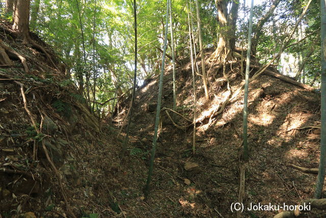 肥前 鹿山城の写真