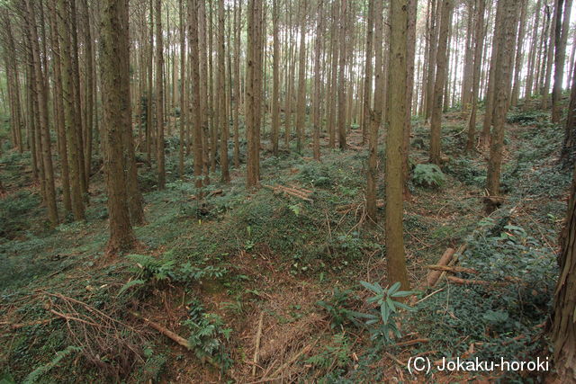 肥前 少弐山城の写真