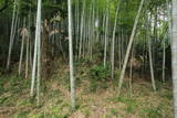 肥前 少弐山城の写真