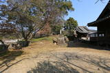 肥前 諏訪山城の写真