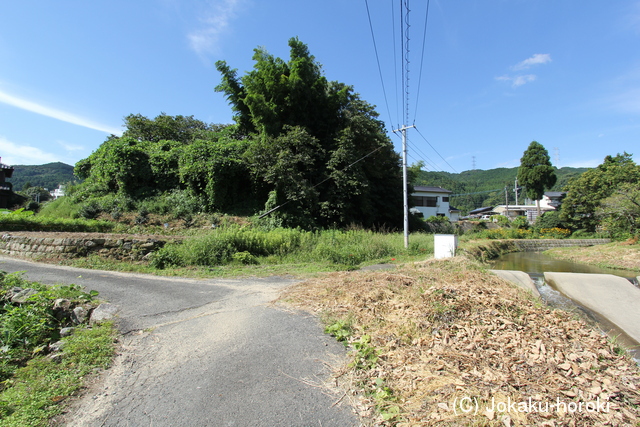 肥前 立花城塞の写真