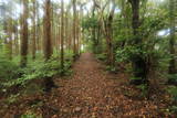 肥前 岳山城の写真