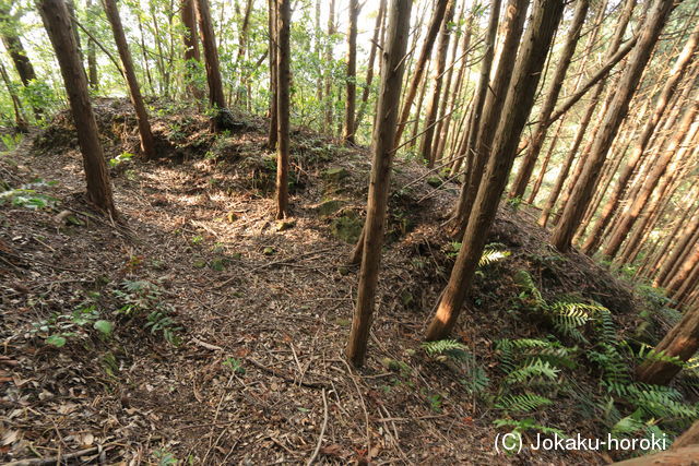 肥前 東光寺山城の写真