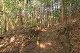 肥前 東光寺山城の写真