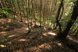 肥前 東光寺山城の写真