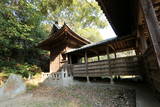 肥前 富岡城の写真