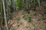 肥前 山浦城(鳥栖市)の写真