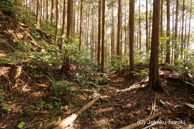 肥前 木場城(嬉野市)の写真