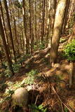 肥前 木場城(嬉野市)の写真