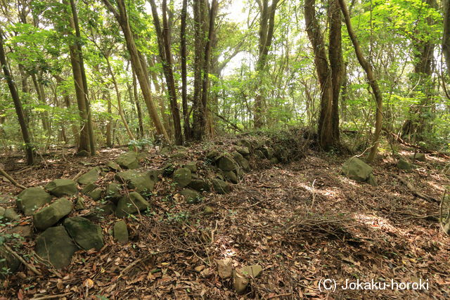 肥前 牛ノ岳城の写真