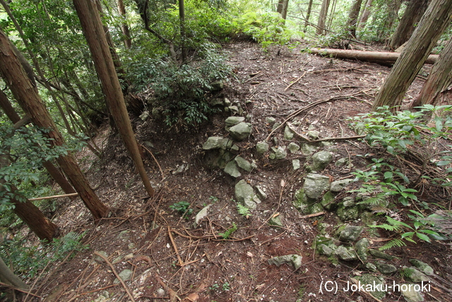 肥前 鬼ヶ城(鳥栖市)の写真