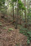 肥前 鬼ヶ城(鳥栖市)の写真