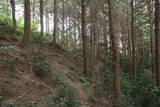 肥前 鷹取城の写真