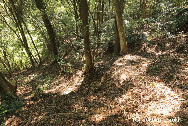 肥前 和田城の写真