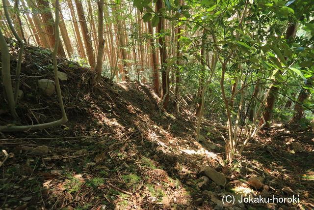 肥前 飯盛城(伊万里市)の写真