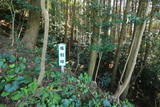 肥前 飯盛城(伊万里市)の写真