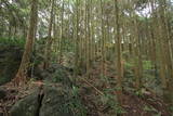 肥前 山浦城(鹿島市)の写真