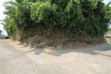 肥前 好武城の写真