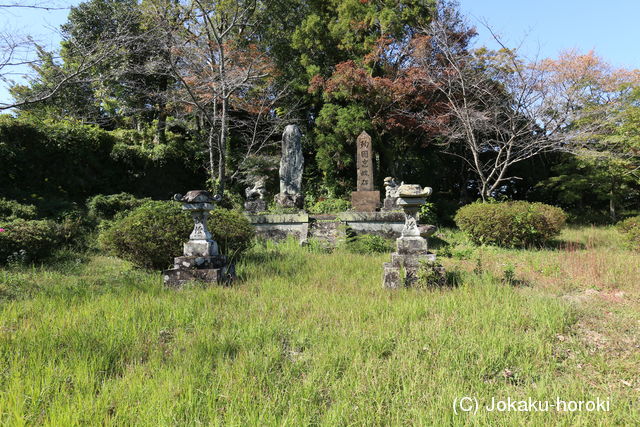 肥前 湯野田城の写真