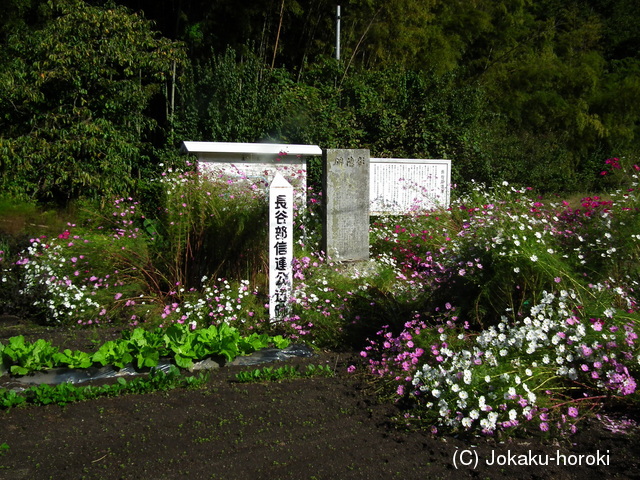 伯耆 長谷部館の写真