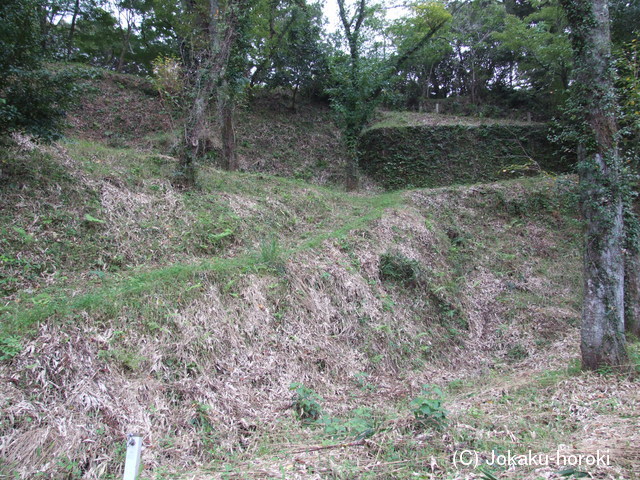 伯耆 法勝寺城の写真