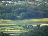 伯耆 岩倉城の写真